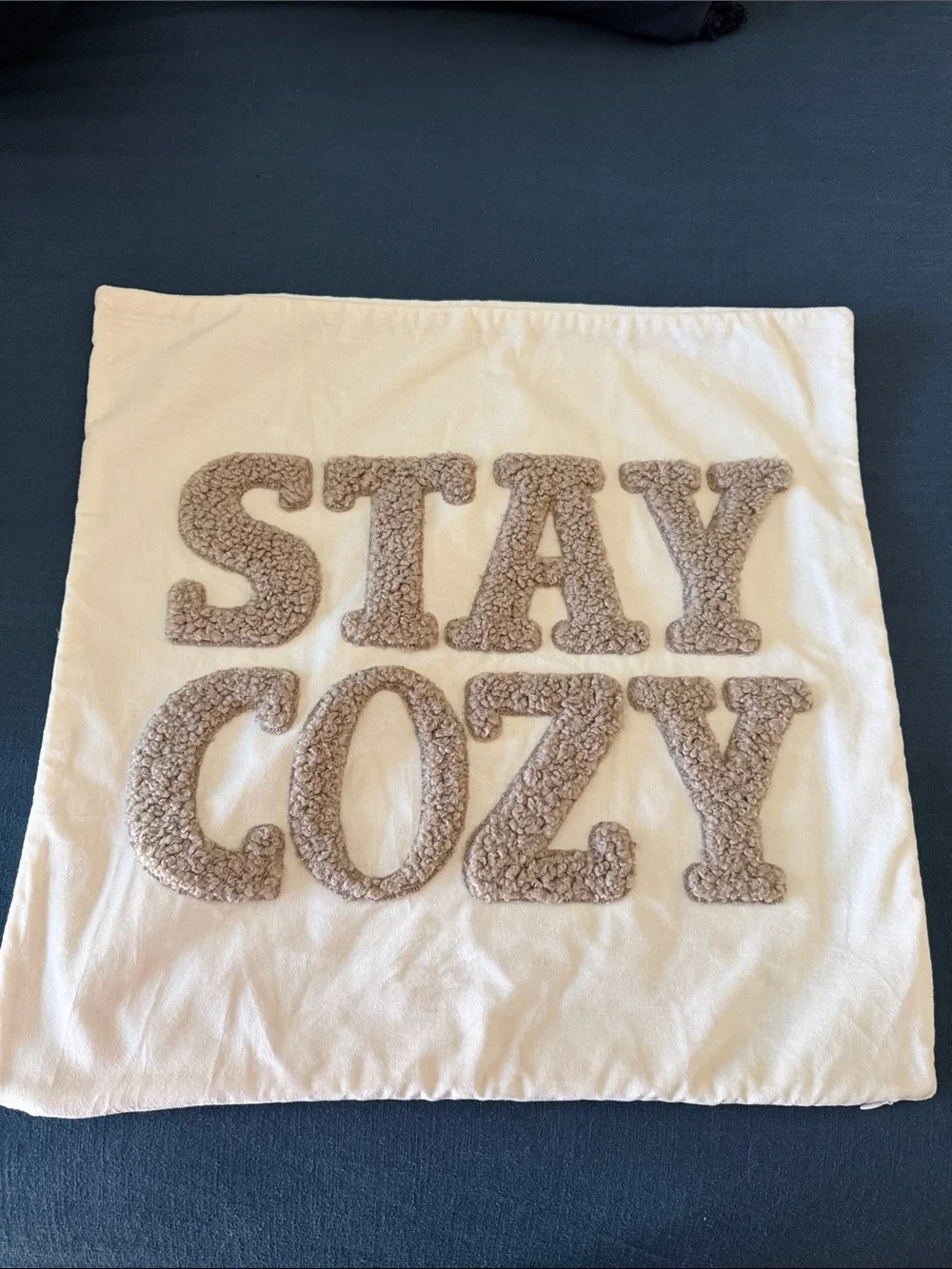 NWOT Stay Cozy Teddy Faux Fur Appliqué Pillow Cover